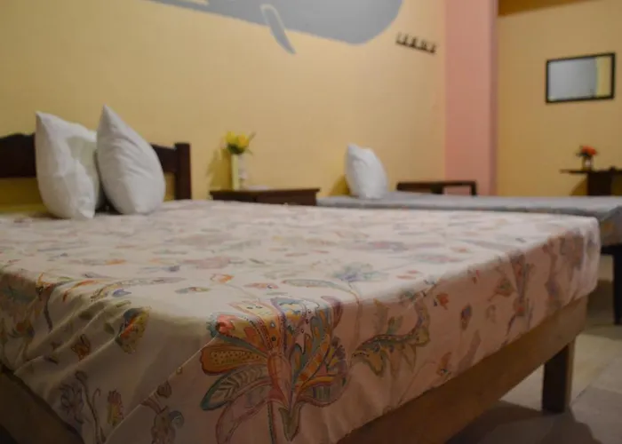 Casa Palma Hotel Playa del Carmen