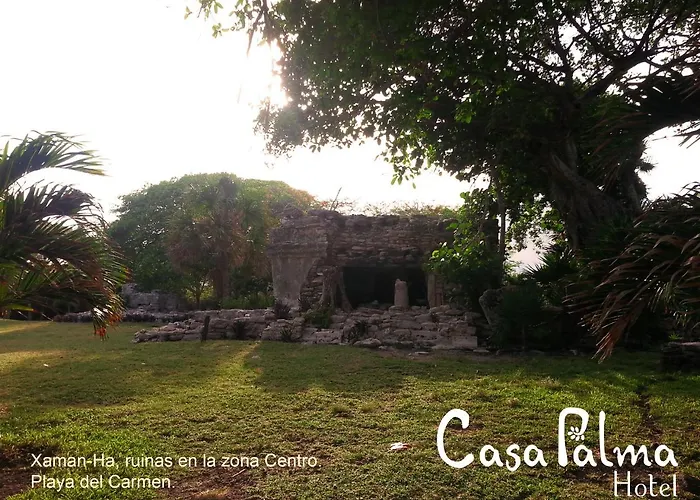 Casa Palma 2* Playa del Carmen