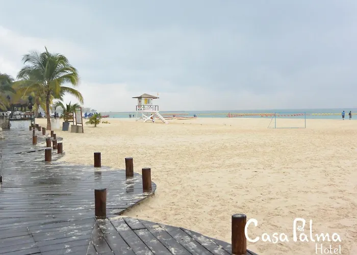 Hotel Casa Palma